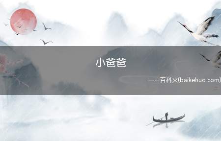 小爸爸(《小爸爸》用“天上掉下个小儿子”的故事成功打动观众)