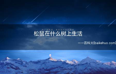 松鼠在什么树上生活(松鼠主要分布在由松属、落叶松属等树种构成的针叶林或针阔混交林)