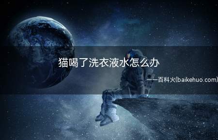 猫喝了洗衣液水怎么办(主人不在家而错过最佳抢救时机)