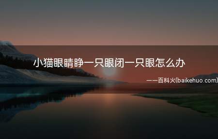 小猫眼睛睁一只眼闭一只眼怎么办(猫猫可能存在眼睛单侧疾病)