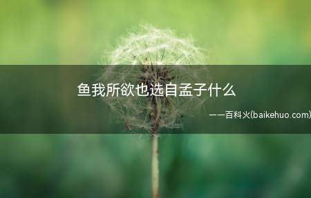 鱼我所欲也选自孟子什么(《鱼我所欲也》选自《孟子·告子上》)