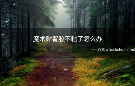 魔术贴背胶不粘了怎么办(双自己喜欢的品牌休闲鞋,上面的魔术贴过了没多久就不粘了!)