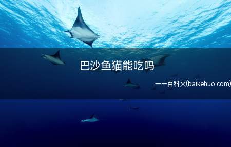 巴沙鱼猫能吃吗(猫是可以吃巴沙鱼的吗)