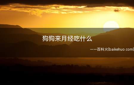 狗狗来月经吃什么(宠物主人喂它们可以适当补充一些维生素)