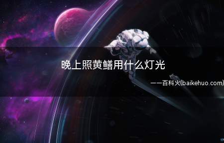 晚上照黄鳝用什么灯光(晚上照黄鳝的时候,可使用色温低一点的灯光)