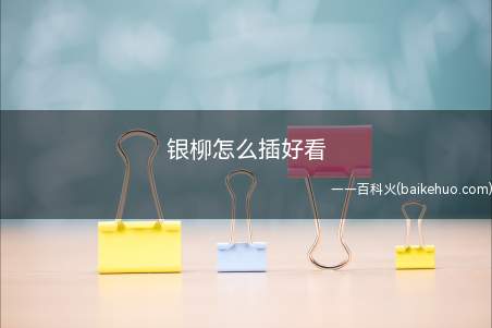 银柳怎么插好看(随手插花,其实随意插花也是一种创意)