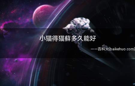 小猫得猫藓多久能好(小猫患猫癣的康复时间主要和治疗方案)