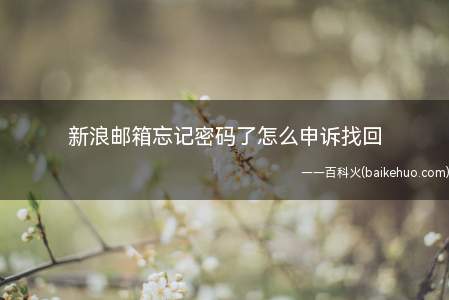 新浪邮箱忘记密码了怎么申诉找回（新浪邮箱怎么找回登录密码）