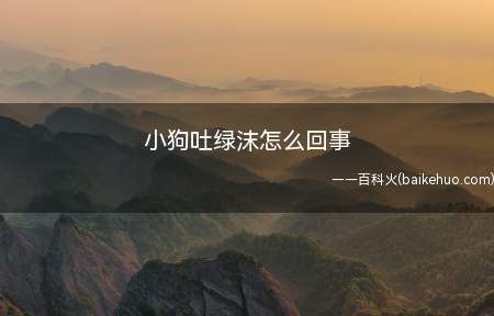 小狗吐绿沫怎么回事(带狗狗到动物医院进行对症治疗)