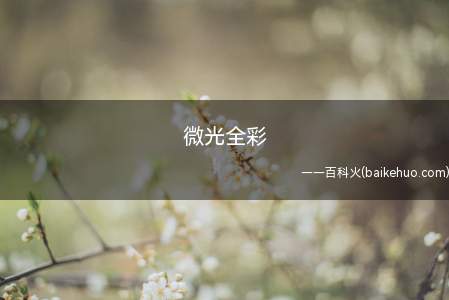 微光全彩(微光全彩摄像机,利用图像增强电路对星光级照明条件下的微弱目标)