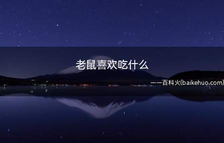 老鼠喜欢吃什么(老鼠喜欢吃什么 肉类老鼠吃肉类基本)