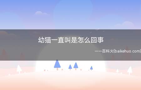 幼猫一直叫是怎么回事(幼猫一直叫可能是因为幼猫有需求)