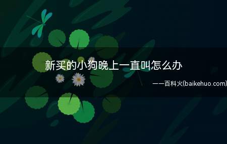 新买的小狗晚上一直叫怎么办(新买回的小狗一直叫的原因)