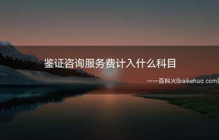 鉴证咨询服务费计入什么科目(鉴证咨询服务费计入管理费用)