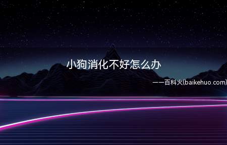 小狗消化不好怎么办(幼龄动物消化不好通常由以下几种原因引起的)