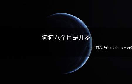 狗狗八个月是几岁(狗狗在八个月的时候就相当于人类)