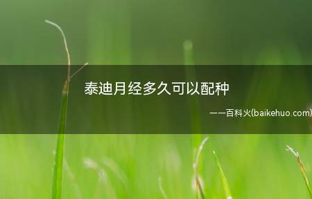 泰迪月经多久可以配种(泰迪月经结束后的第一天或者第二天,是它配种的最佳时期)