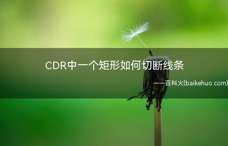 CDR中一个矩形如何切断线条(CDR中矩形如何切断线条)