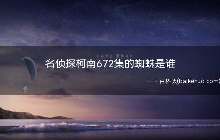 名侦探柯南672集的蜘蛛是谁(神秘组织与《名侦探柯南》中的黑衣组织不是同一个组织)