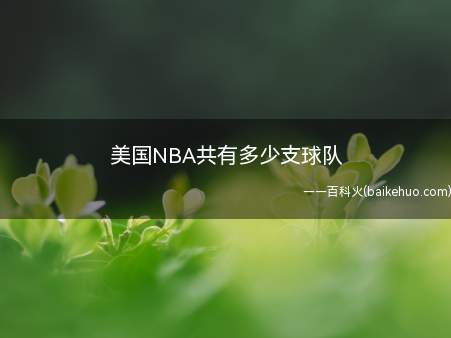 美国NBA共有多少支球队(NBA诞生的30支球队,跟足球五大联赛还不一样)