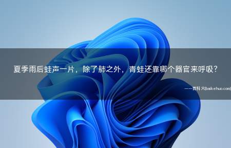 夏季雨后蛙声一片,除了肺之外,青蛙还靠哪个器官来呼吸?