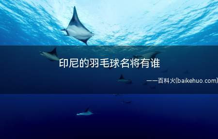 印尼的羽毛球名将有谁(印尼1980年代男子羽毛球运动员)