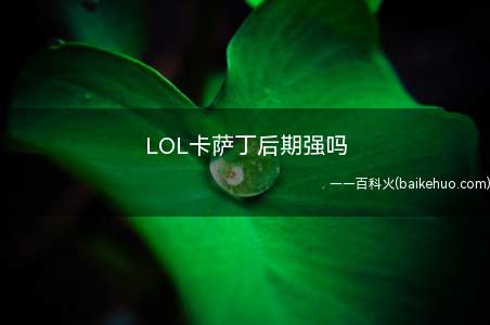 LOL卡萨丁后期强吗(英雄联盟:虚空行者卡萨丁)
