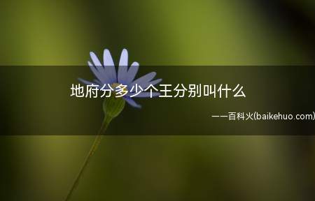 地府分多少个王分别叫什么(中国人把人类生存的空间分为天(阳)、地下精魄的地府)