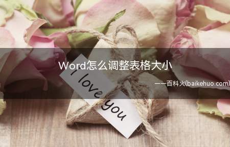 Word怎么调整表格大小（演示机型:组装台式机,适用系统:Windows10家庭中文版）