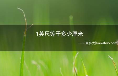 1英尺等于多少厘米(英国尺度紊乱,全国没有统一的标准)