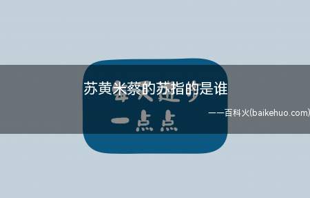 苏黄米蔡的苏指的是谁（苏轼于是请求出京任职,被授为杭州通判）