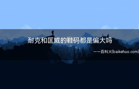 耐克和匡威的鞋码都是偏大吗(耐克鞋码不偏大,属于正常鞋码,匡威鞋码偏大一码)