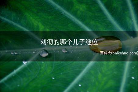 刘彻的哪个儿子继位(昭帝之世,“百姓充实,四夷宾服”)