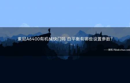 索尼A6400有机械快门吗 白平衡有哪些设置参数？