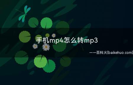 手机mp4怎么转mp3(手机mp4转换成mp3的方式)