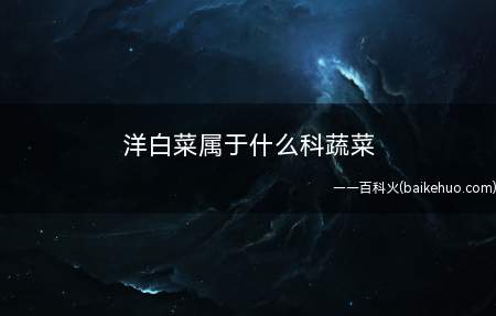 洋白菜属于什么科蔬菜(白菜是一种在生活中特别常见的蔬菜)