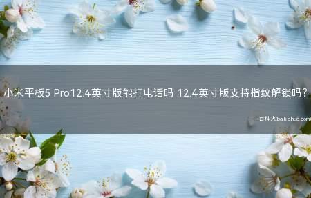小米平板5 Pro12.4英寸版能打电话吗 12.4英寸版支持指纹解锁吗?