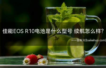 佳能EOS R10电池是什么型号 续航怎么样(LP)