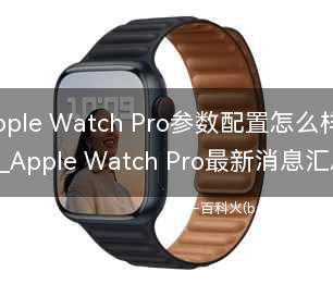 Apple Watch Pro参数配置怎么样?