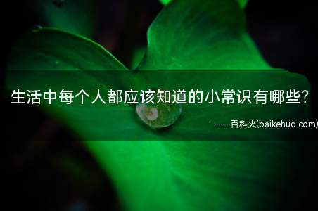 生活中每个人都应该知道的小常识有哪些(学乳制品营养的对生活营养有点了解9)
