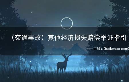 (交通事故)其他经济损失赔偿举证指引(其他经济损失赔偿举证指引 )
