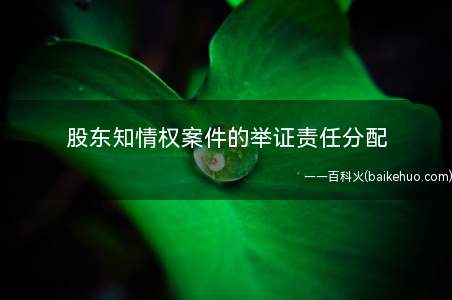 股东知情权案件的举证责任分配(股东知情权案件怎样进行举证责任分配)