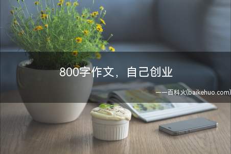 800字作文，自己创业（马云:没读完大学的比尔盖茨和杨致远创业成功,但全世界就一个）