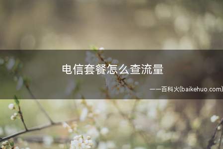 电信套餐怎么查流量(华为mate30怎么查询电信卡还剩下多少流量)
