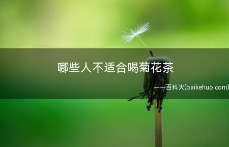 哪些人不适合喝菊花茶