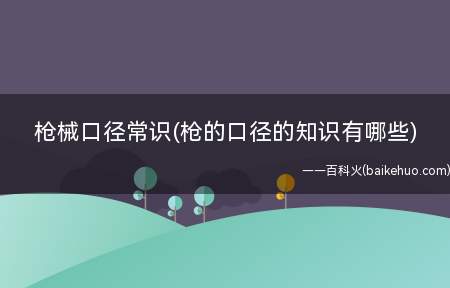 枪械口径常识(枪的口径的知识有哪些)(枪的口径的知识有哪些)