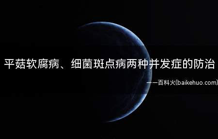 平菇软腐病、细菌斑点病两种并发症的防治(平菇极容易发生软腐病、细菌斑点病两种并发症)