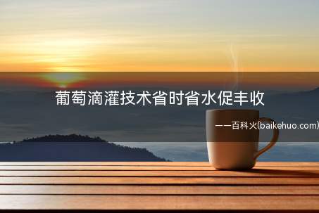 葡萄滴灌技术省时省水促丰收(麒麟区珠街乡引导葡萄种植户采用滴灌技术灌溉葡萄)