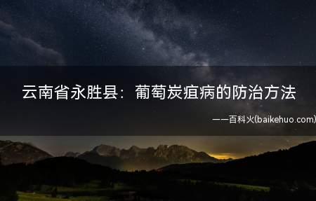 云南省永胜县:葡萄炭疽病的防治方法(果梗、穗轴爱害时产生椭圆形凹陷病斑,影响果实成熟)