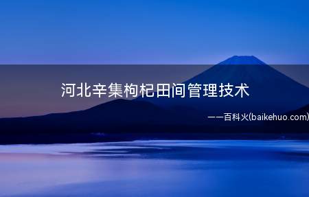 河北辛集枸杞田间管理技术(枸杞田间管理包括中耕除草、施肥、浇水、剪枝等内容)